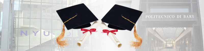 Approvazione atti graduatoria bando Double Degree Anno Accademico 2025-2026 - Corsi di Laurea Magistrale in Ingegneria Gestionale (LM31)